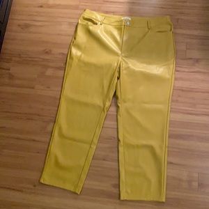 Anthropologie Plus Vegan Leather Women’s pants. Sized 16W.